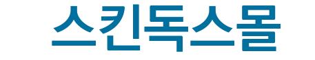 스킨독스몰()